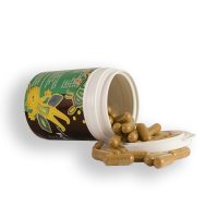 Guarana Kapseln Dose